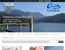 Tablet Screenshot of consorziovelia.com